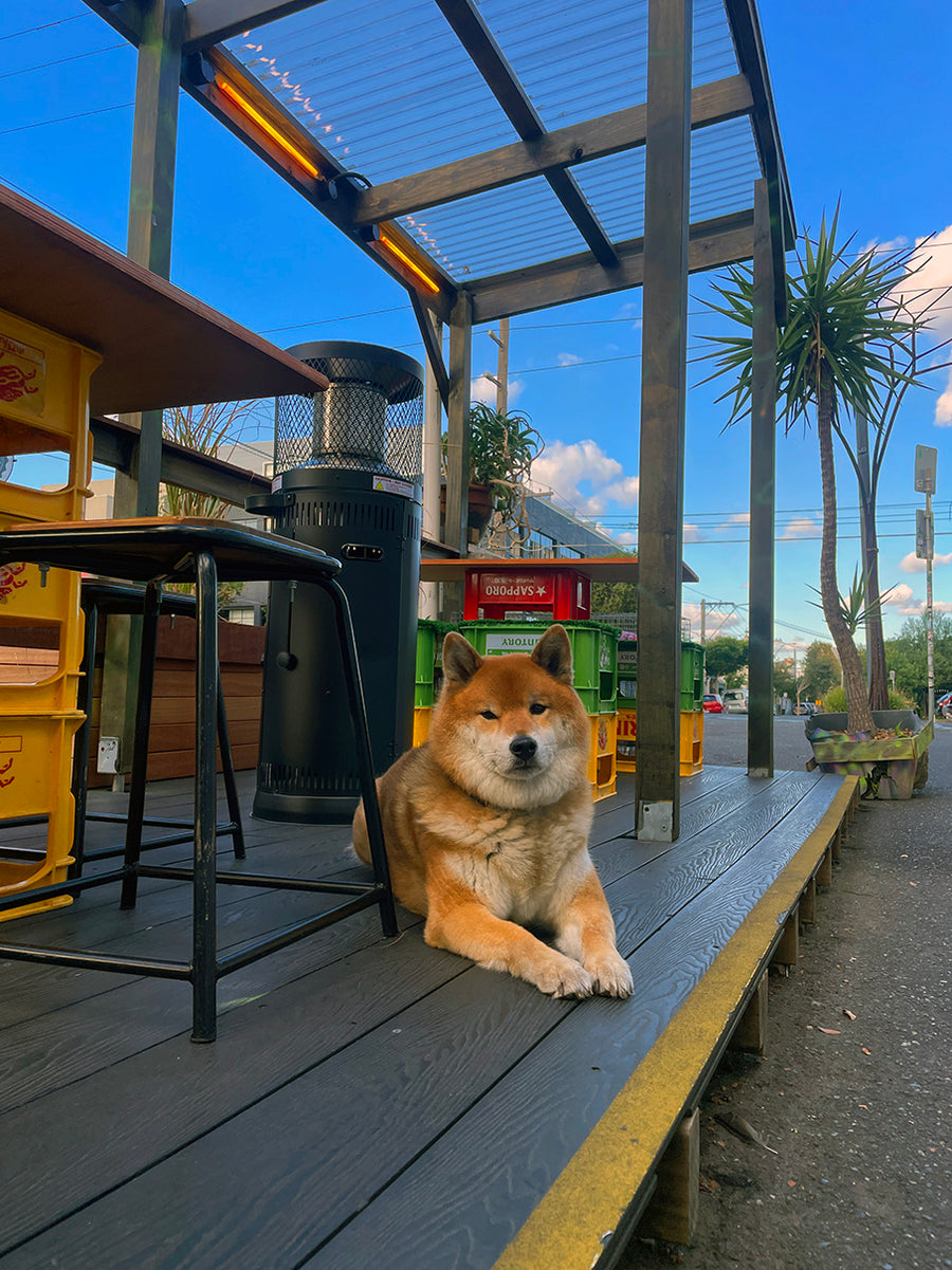 Street-side dining at Chotto Motto, a dog friendly restaurant in Collingwood